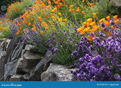 Lavender And Poppy Flowers Stock Photo Image Of Stone 2734710
