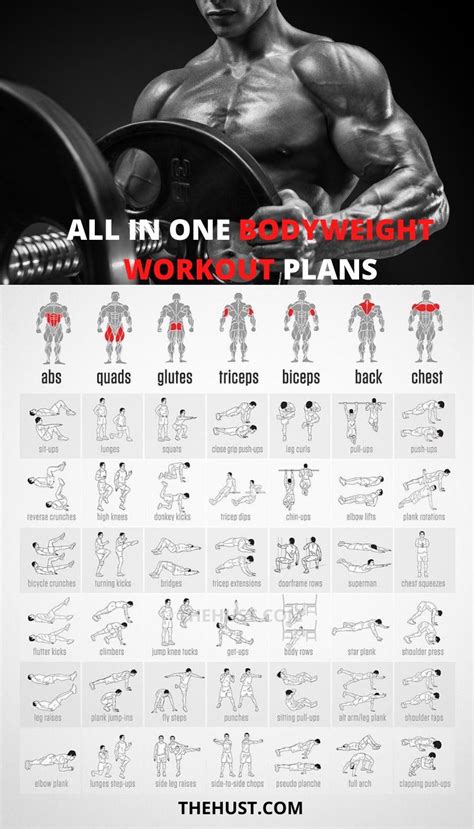 Full Body Bodyweight Workout Program Pdf For Fat Body Fitness And Workout Abs Tutorial