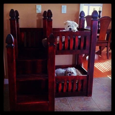 Totally Getting A Dog Bunk Bed For My Dogs Diy Dog Bed Custom Dog