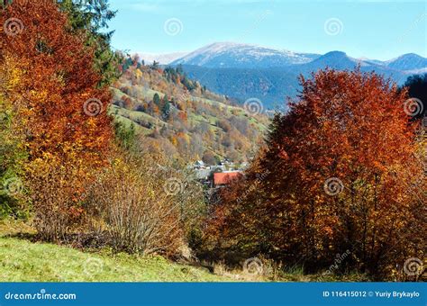 Autumn Carpathian Mountain Ukraine Stock Photo Image Of Leaf