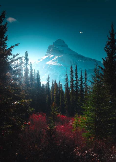 Coiour My World Dreaming Of The Rockies Banff Np Calibreus