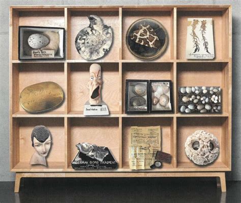 How Portland Basin Museum Put Together Their Cabinet Of Curiosity