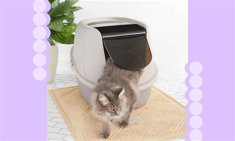 The 6 Best Covered Cat Litter Boxes