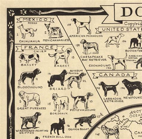 Old Dog Map 1936 World Atlas Chart Of Breeds Terrier Etsy Uk