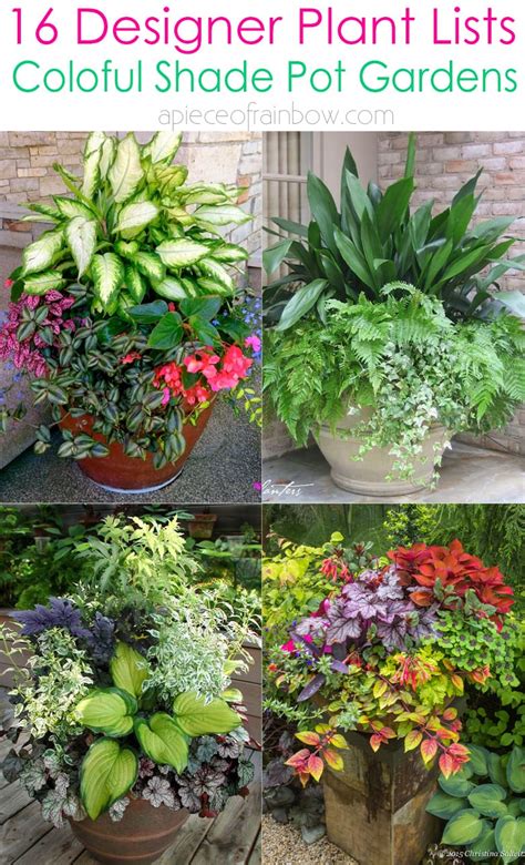 16 Colorful Shade Garden Pots And Plant Lists Shade Garden