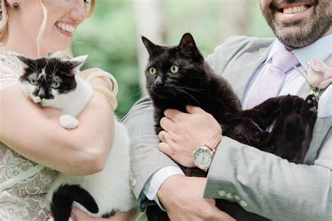 Including Their Cats In The Wedding Ceremony Photography By Ashleigh