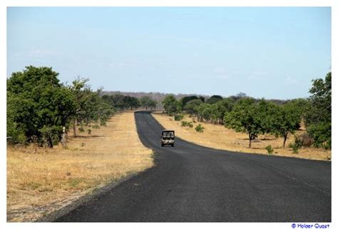 Chobe National Park Transitstrecke Nach Kasane Elefanten Permit