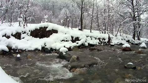 Snowstrom 🌨 And Icy Cold River Falling Snow And Polar Wind Relaxing