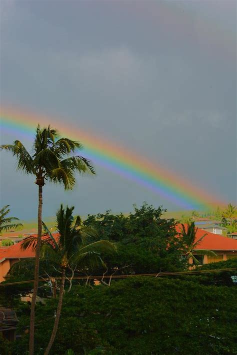 Maui Rainbow Photograph By Nancy Jenkins Pixels