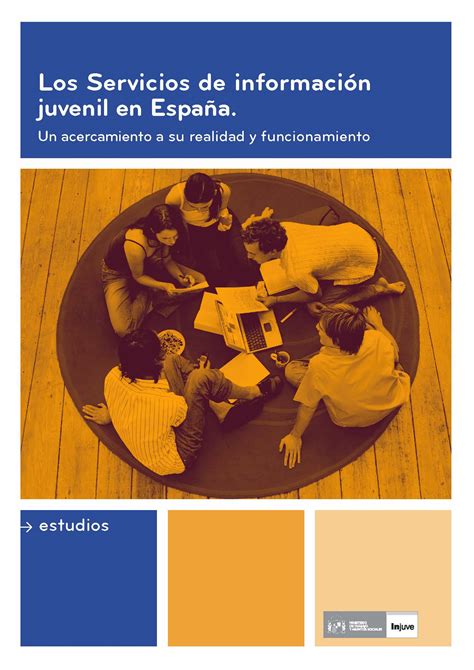 Los Servicios De Información Juvenil En España Un Acercamiento A Su