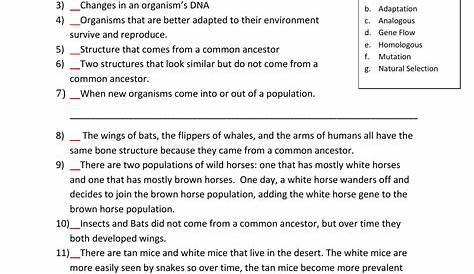 Evolution Worksheet