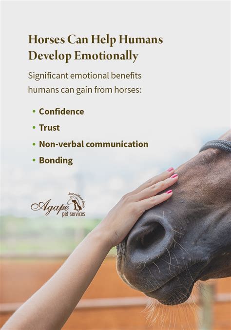10 Things That Make Horse And Human Relationships So Unique Agape