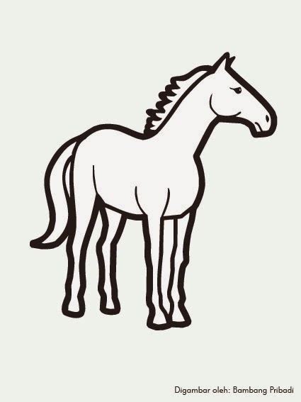 Mata hewan ini amat sensitif terhadapat tiga warna cahaya yang berbeda. 480+ Gambar Binatang Dengan Pensil HD Terbaru - Gambar Hewan