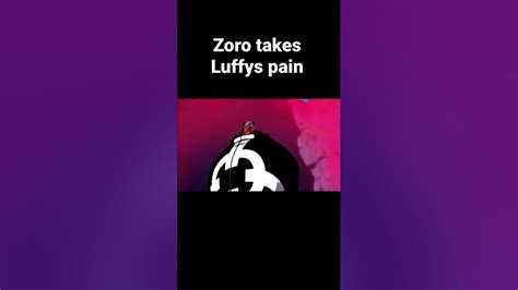 Zoro Takes Luffys Pain Youtube