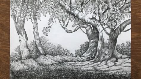 Landscape Drawing In Pencil Forest Drawing Pencil Sketch Youtube