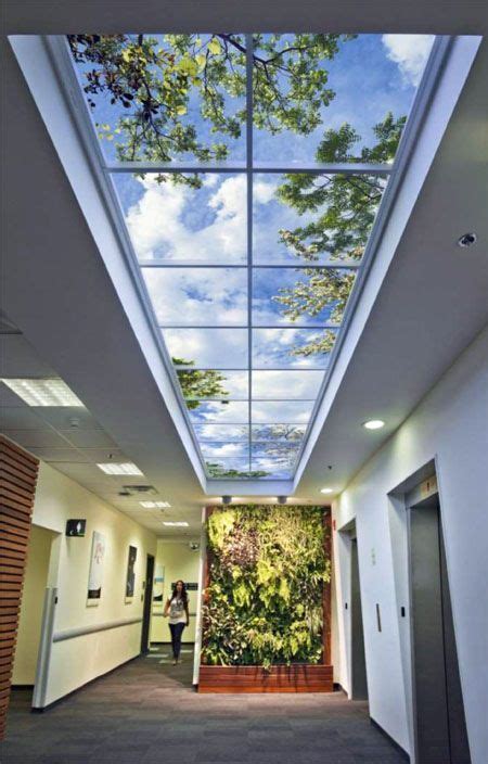 Why Biophilic Design Is Important In Our Interior Environments Hospital