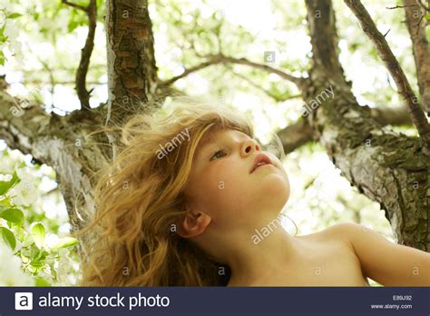 Girl Climbing Tree Hot Girl Hd Wallpaper