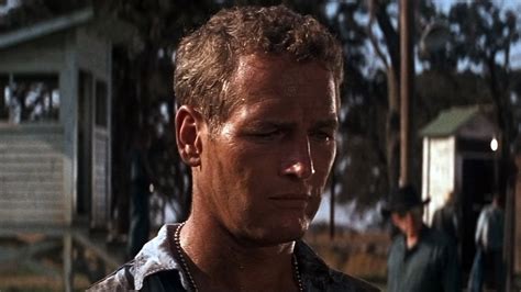 Luke jackson is a cool, gutsy prisoner in a southern chain gang, who, while refusing to buckle under to authority, keeps escaping and being recaptured. Movie Project #15: Cool Hand Luke 1967 - The Warning Sign