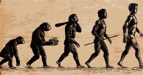 Sejarah Evolusi Manusia Sinau