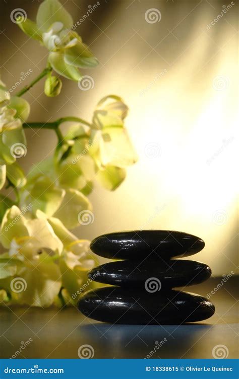 Polished Hot Massage Stones Cairn And Orchids Stock Image Image Of Pile Flower 18338615