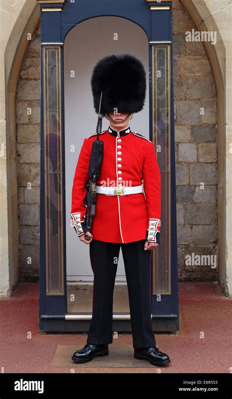 Grenadier Guard In His Sentry Box At Royal Windsor Castle In Stock