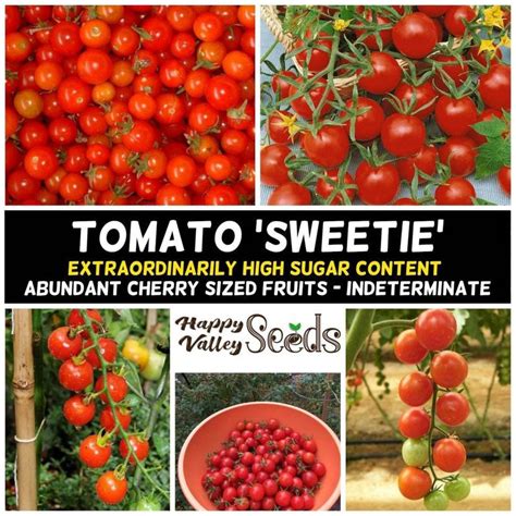 Tomato Sweetie Seeds