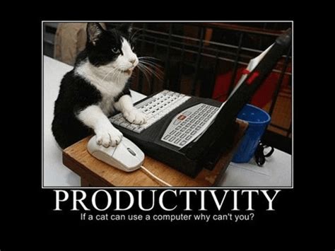 Productivity Memes 60 Funniest Memes To Make Your Monday Suck Less 2023