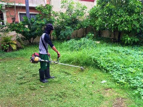 Grass triming and lawn moving services. "Do you like the smell of freshly cut green grass?" - Virily