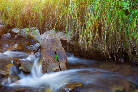 Mountain Stream Creek In The Stones And Green Grass Banks In Mountain