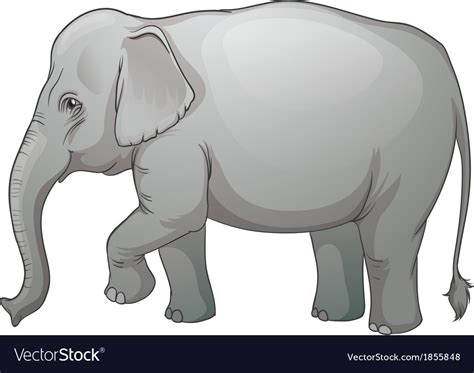 Asian Elephant Royalty Free Vector Image Vectorstock