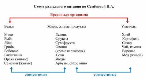 Раздельная диета отзывы Раздельная Диета Белки И Углеводы – Telegraph Раздельная Диета Белки И Углеводы – Telegraph Раздельная диета отзывы