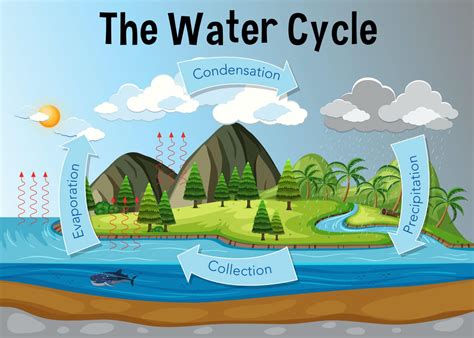 Make A Water Cycle Model Weather Science For Kids