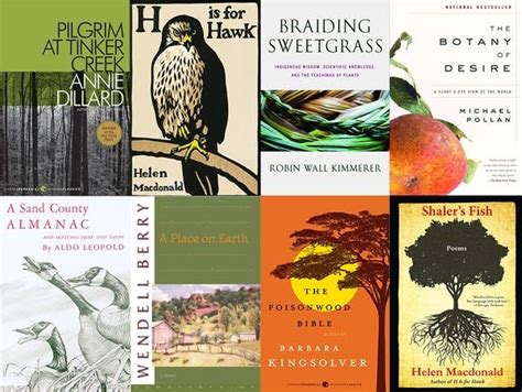 H Is For Hawk Author Must Read Nature Writing Mpr News