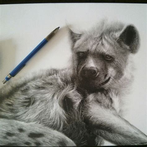 Photorealistic pencil portraits of animals. 40 Beautiful and Realistic Animal Sketches For Your Inspiration