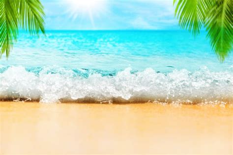 Tropical Island Beach Nature Blue Sea Wave Turquoise Ocean Water Yellow Sand Green Palm Tree