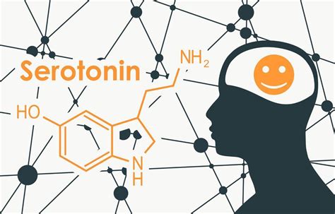 Serotonina La Hormona De La Felicidad El Botiquín Natural