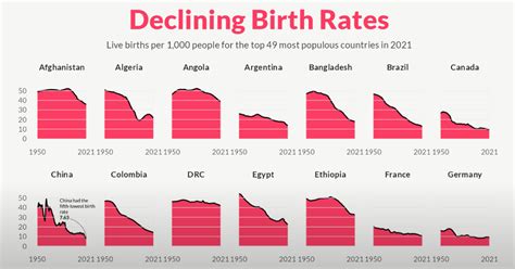 Birth Rate Decline 2022