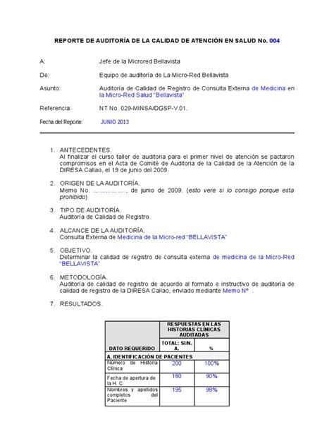 Informe De Auditoria De La Calidad De Atencion Junio 2013 Auditoría