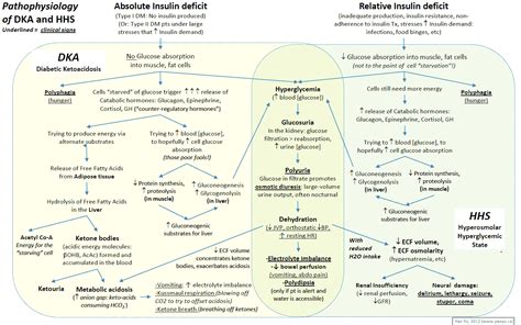 Diabetic Ketoacidosis Dka Algorithm Manual Of Medicine