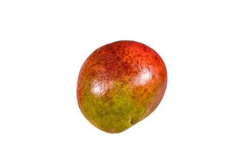Whole Red Mango Fruit Isolated On A White Background Stock Image