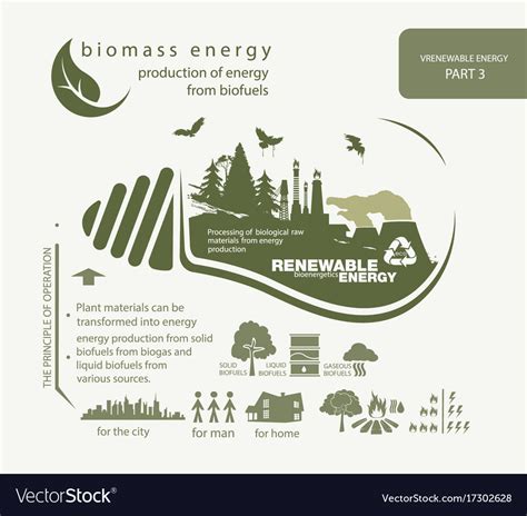 Infographics Renewable Source Biomass Energy Vector Image