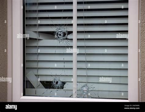 Bullet holes in a window of a property on Fort Terrace in Bangor. An