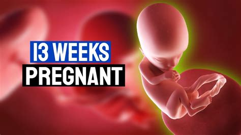13 Weeks Pregnant Watch The Growth Of Your Baby । 13th Week Of