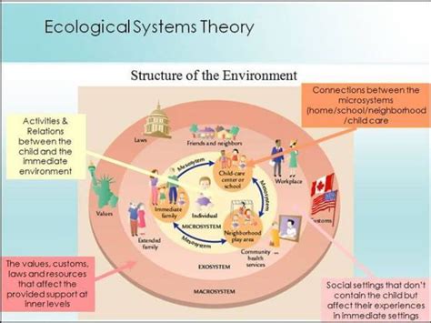 Ecological Systems Theory By Bronfenbrenner Psychology Facts