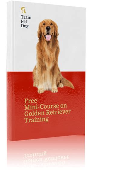 Best Puppy Training Book For Golden Retrievers - The Complete Guide To Golden Retrievers Finding ...
