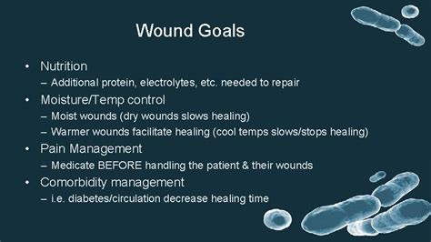 Wound Care Basics Wound Care Overview Layers Of