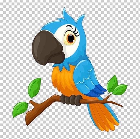 Parrot Cartoon Bird Illustration Png Clipart Animal Illustration