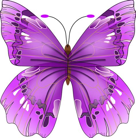 7 Best Images Of Free Printable Purple Butterfly Clip Art Weed Eater