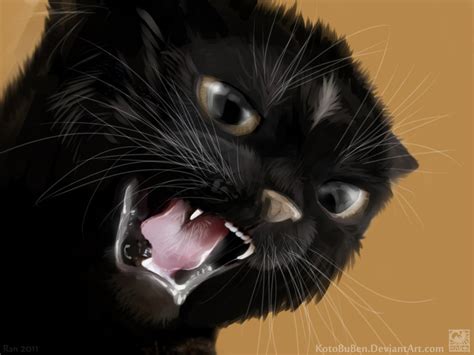 Angry Cat Drawing At Getdrawings Free Download