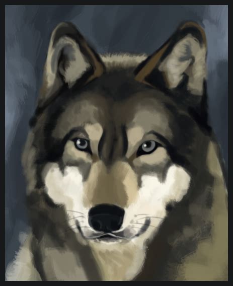 Ugly Wolf Face By Pseudolonewolf On Deviantart